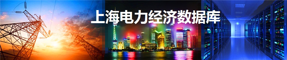 上海电力经济数据库